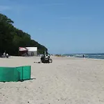 Blue Mare U Kwiatków Łukęcin